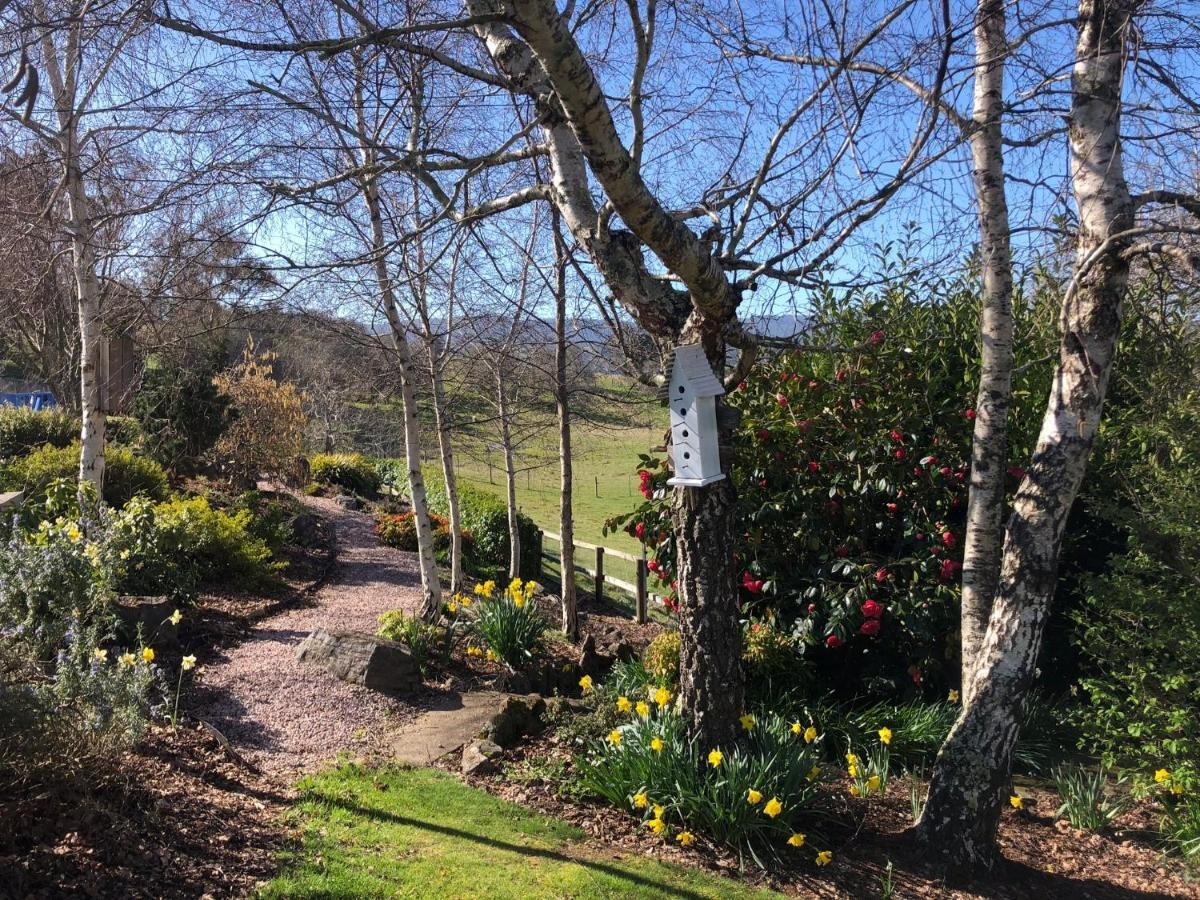Mole Creek Hideaway 호텔 외부 사진
